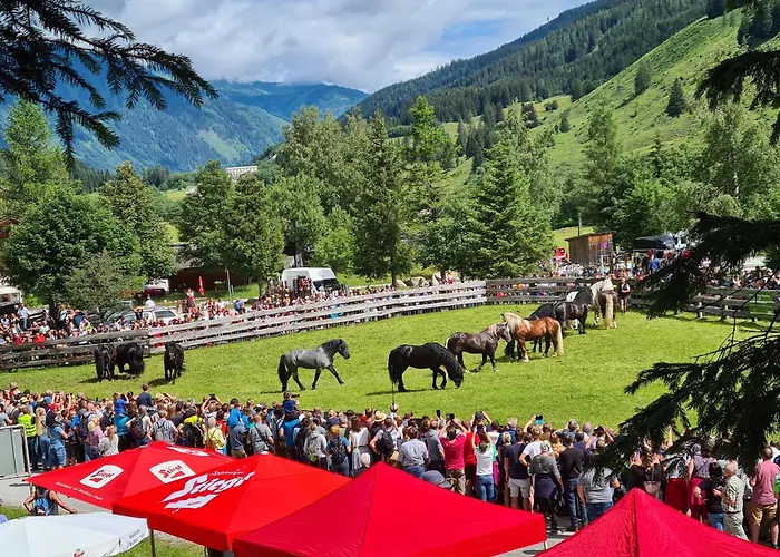 Martina 6 Apartman Rauris