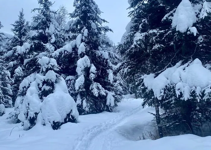 Apartman Martina 6 *