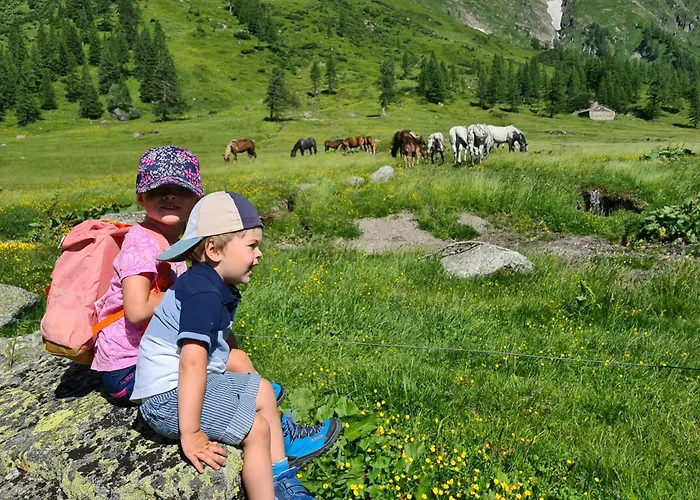 Martina 6 Apartman *